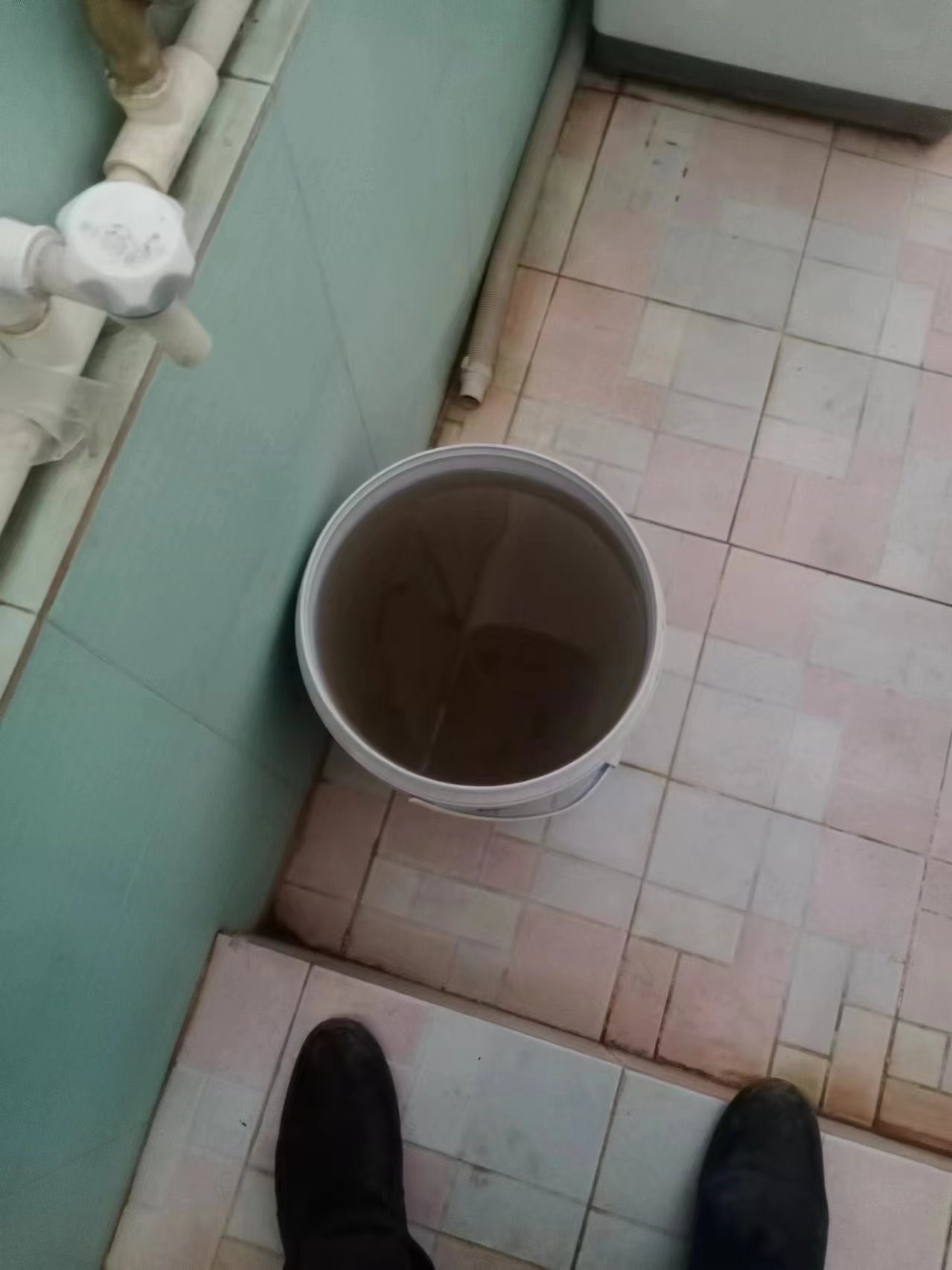 广西横州市那罗村三家养猪场粪污直排，官方：已知情