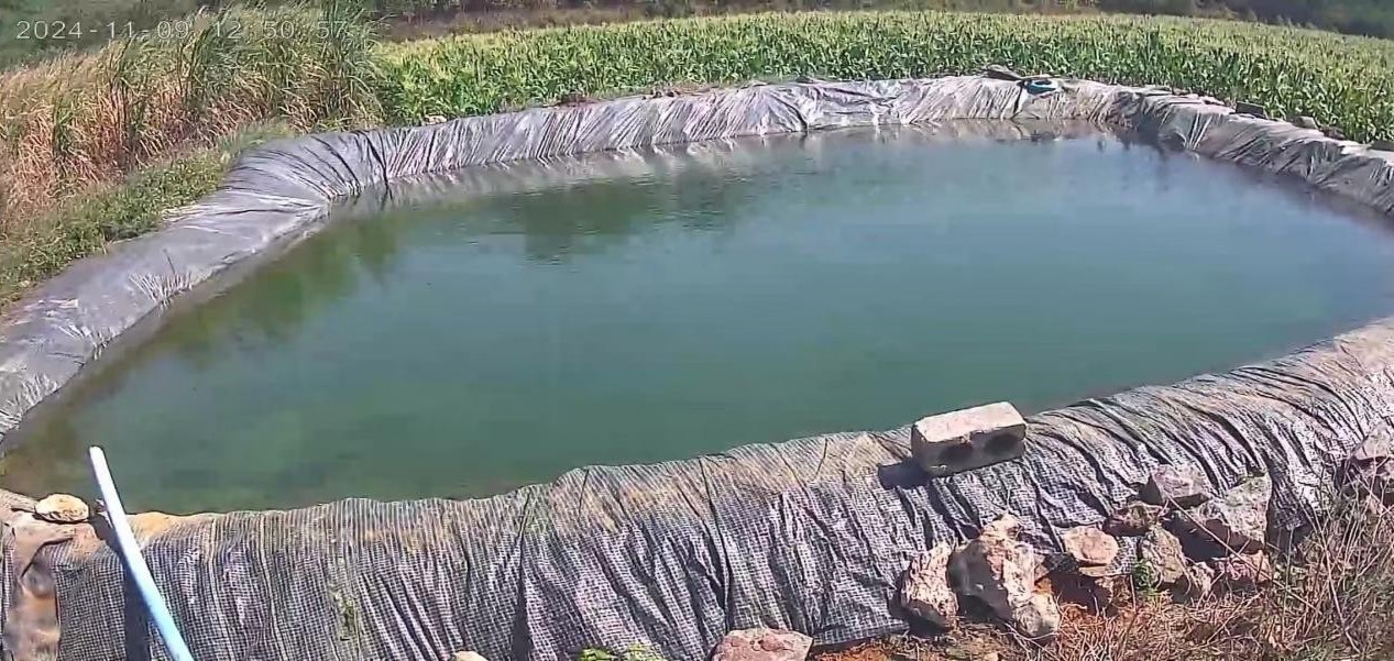 养猪场污染惹民怨 多部门联手破难题