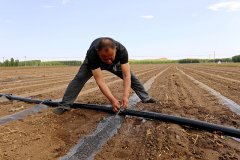牧原股份养猪场黑膜沼气池的沼液免费提供给村民当有机液态肥