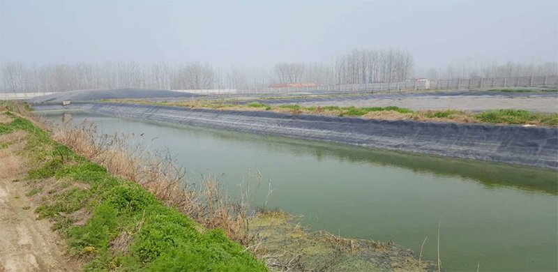 猪场无臭味，污水处理每吨仅0.5元，黑膜沼气池帮大忙